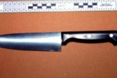 The Knife